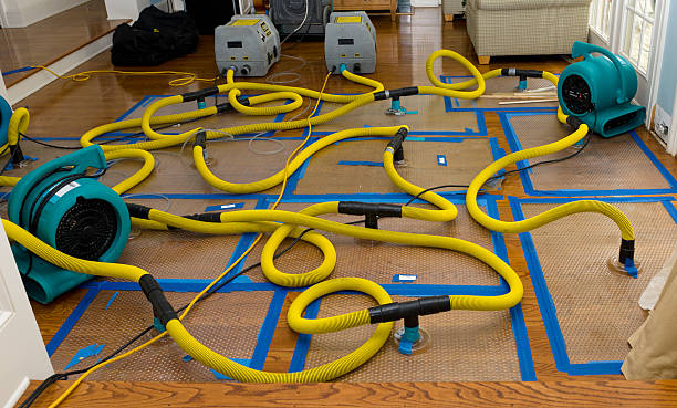 Professional Crawl Space Water Removal technician working in Gerton, NC